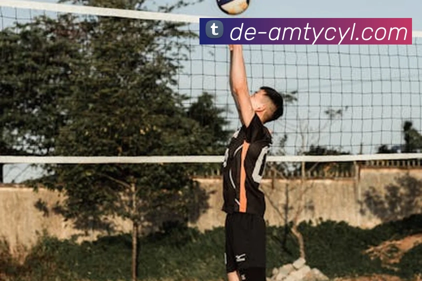 澳门太阳城官网发展历程